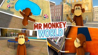 Mr Monkey World